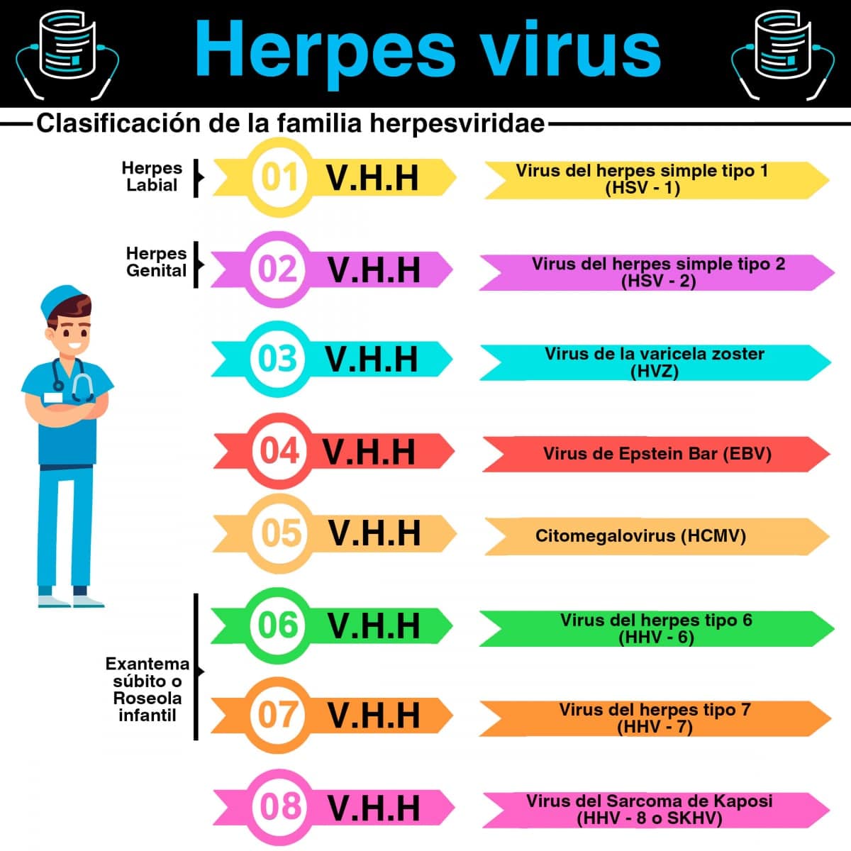 Clasificación de la familia herpesviridae