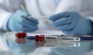 OMS: 29 nuevos casos de Ébola en la semana pasada, de los 57 casos la semana anterior