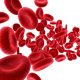 Físicos diseñan “super-glóbulos rojos” para la distribución de medicamentos con objetivos específicos