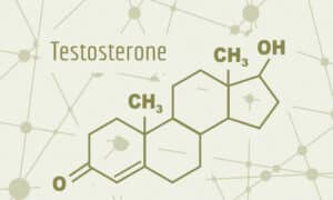 Testosterona