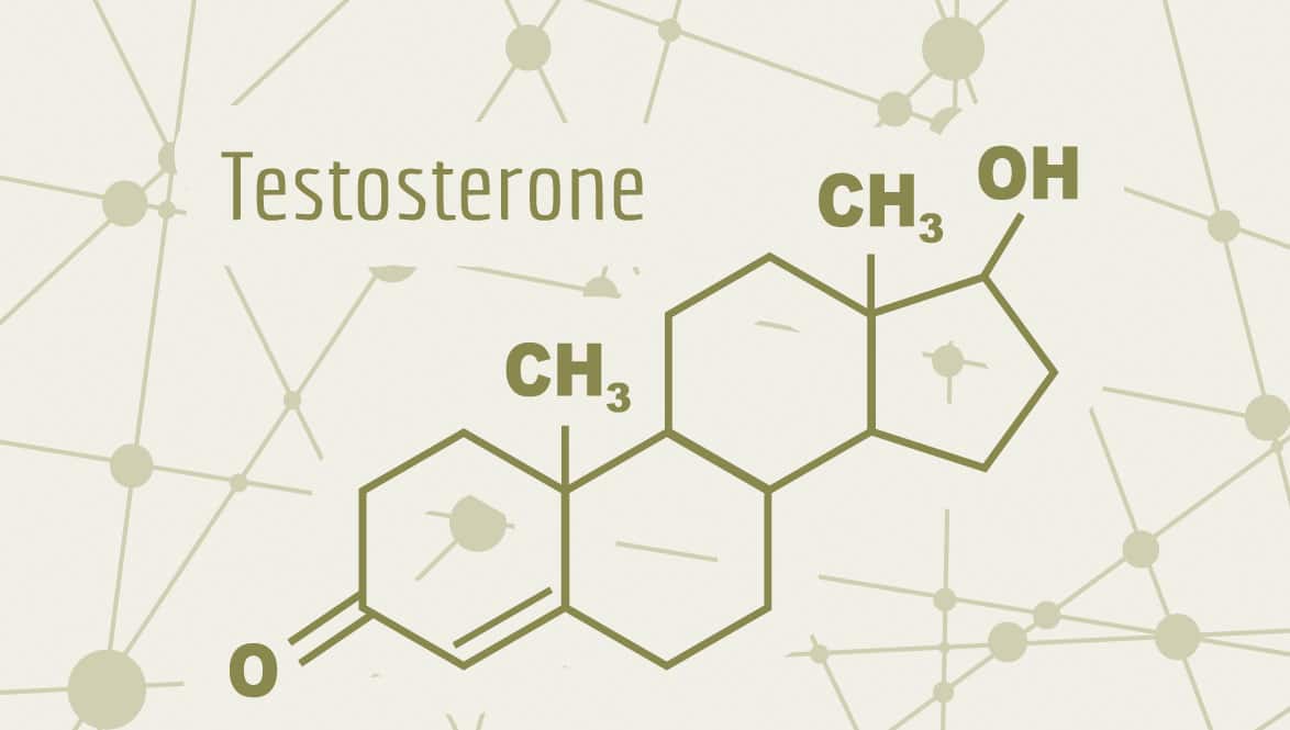 Testosterona