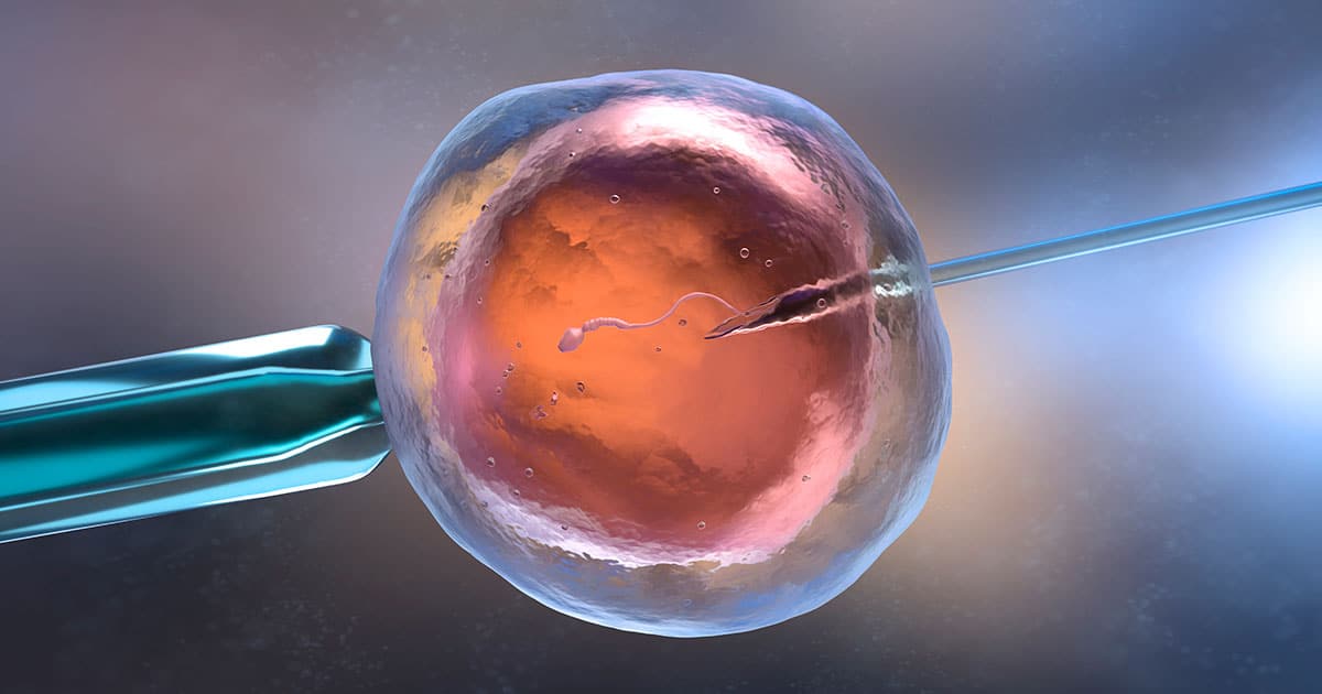 Fecundación in vitro