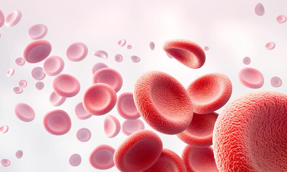 CSIC researchers work on a technology to create artificial blood